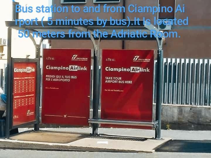 Adriatic Room 50 M Dalla Stazione Ferroviaria Di Ciampino E Dalla Navetta Aeroportuale Bagian luar foto